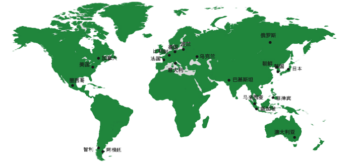 International market(圖1)